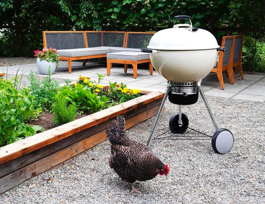 Weber Barbecue Master Touch Ø 57 Cm. White - Centro Internazionale del Barbecue
