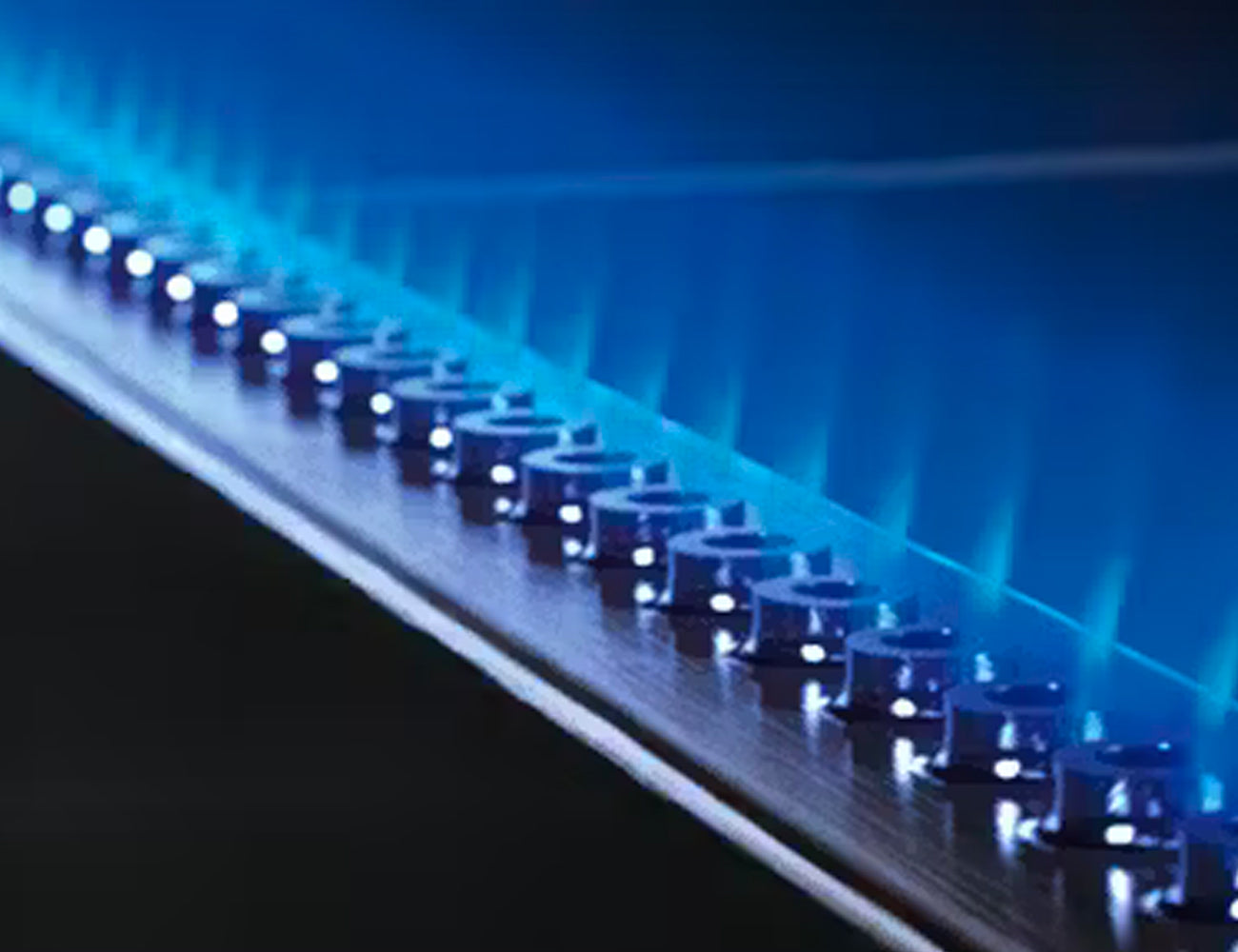 Weber Cartuccia Gas - 445g - Centro Internazionale del Barbecue
