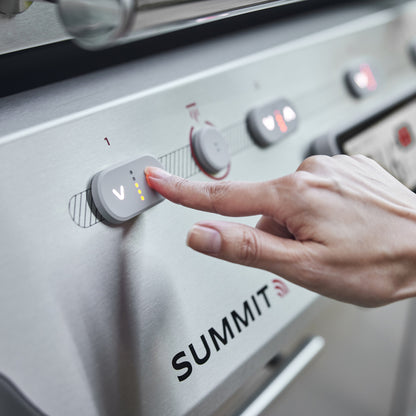 Weber Barbecue a Gas Summit FS38X I-Inox - Centro Internazionale del Barbecue