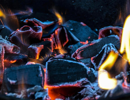 Weber Carbone da 10 Kg - Centro Internazionale del Barbecue