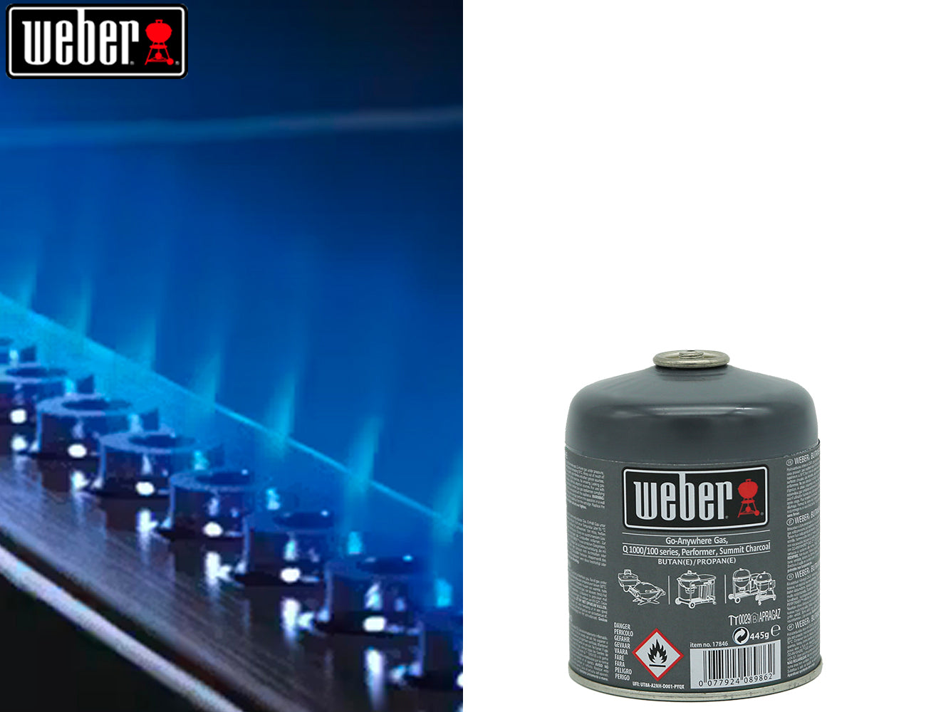 Weber Cartuccia Gas - 445g - Centro Internazionale del Barbecue