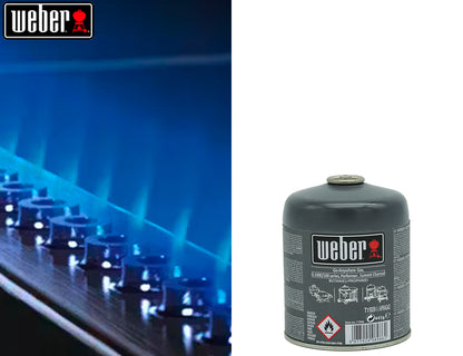 Weber Cartuccia Gas - 445g - Centro Internazionale del Barbecue