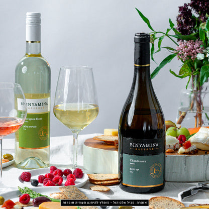 Vino Binyamina Reserve Chardonnay - Centro Internazionale del Barbecue