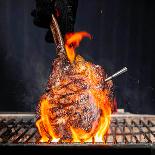 Meater Plus Pro Termometri Wireless - Centro Internazionale del Barbecue
