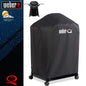 Weber DeLux per Barbecue Serie QN-3000 - Centro Internazionale del Barbecue