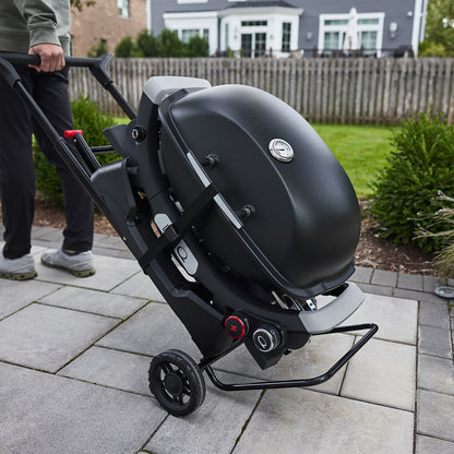 Weber Carrello Portatile per Barbecue QN-1000 e 2000 - Centro Internazionale del Barbecue