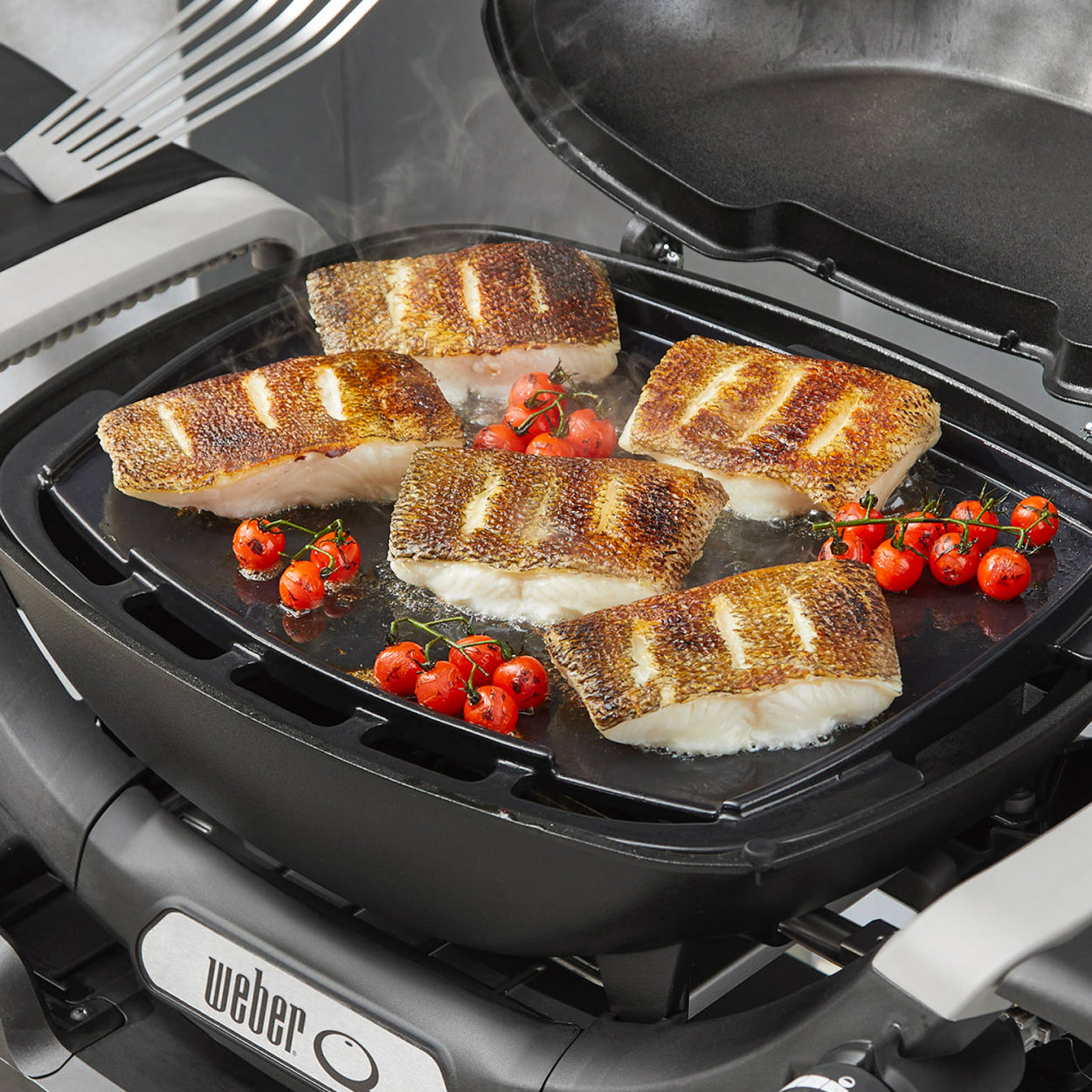 Weber Piastra in Ghisa per Barbecue Serie QN-3000 - Centro Internazionale del Barbecue