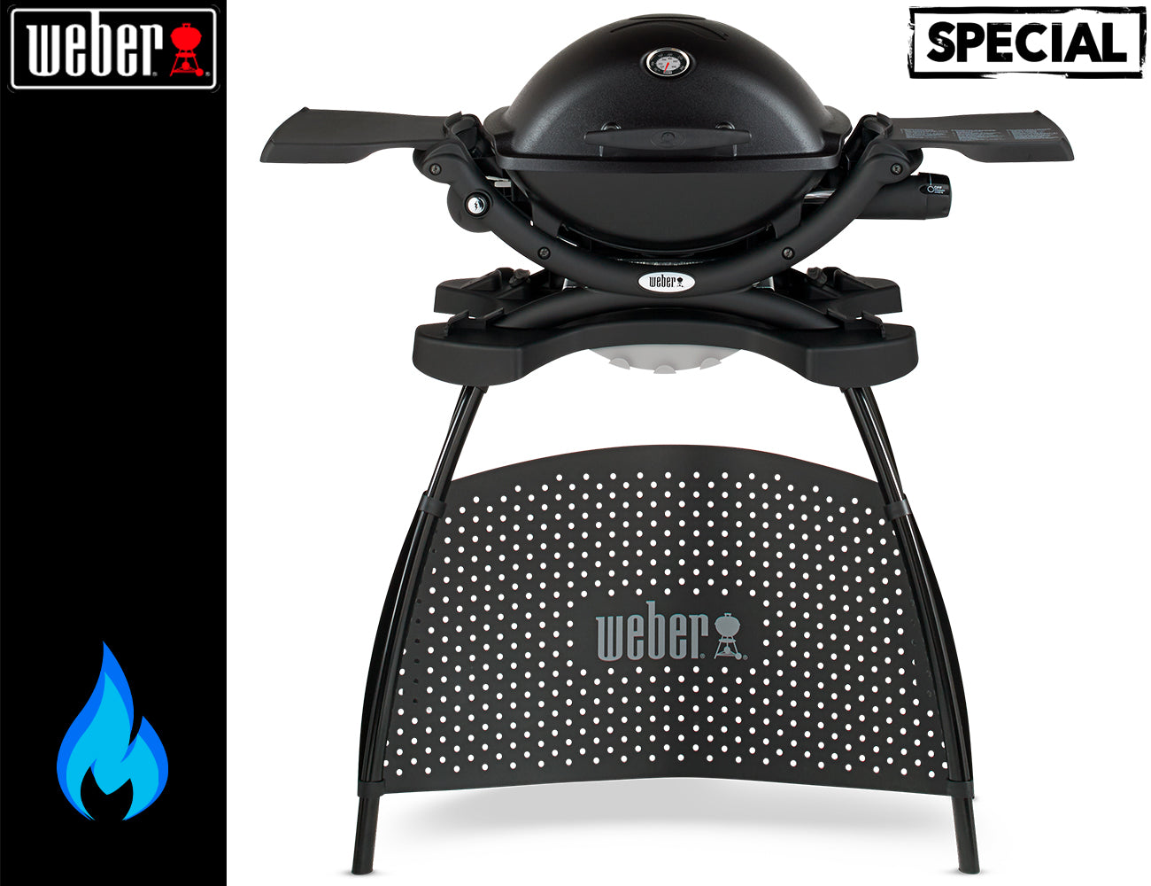 Weber Barbecue Q 1200 a Gas Con Stand - Centro Internazionale del Barbecue