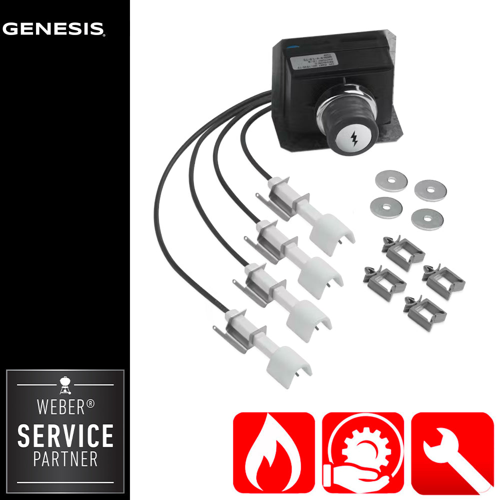 Kit di accessione Genesis + elettrodi + pulsante - Centro Internazionale del Barbecue