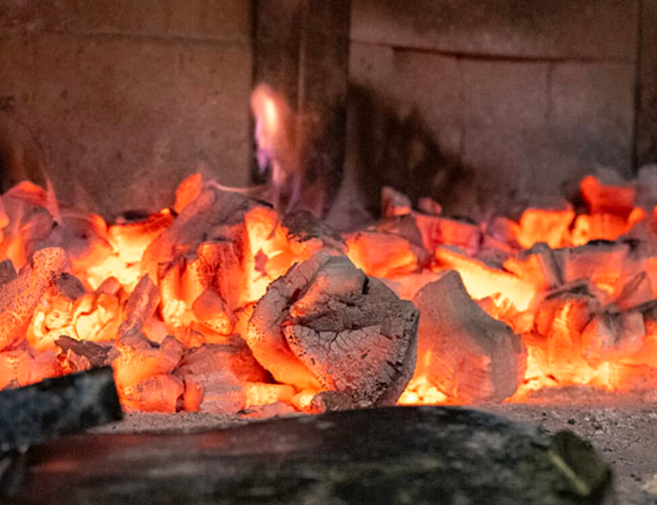 Toro Carbone HOLY Palo Santo Kg 10