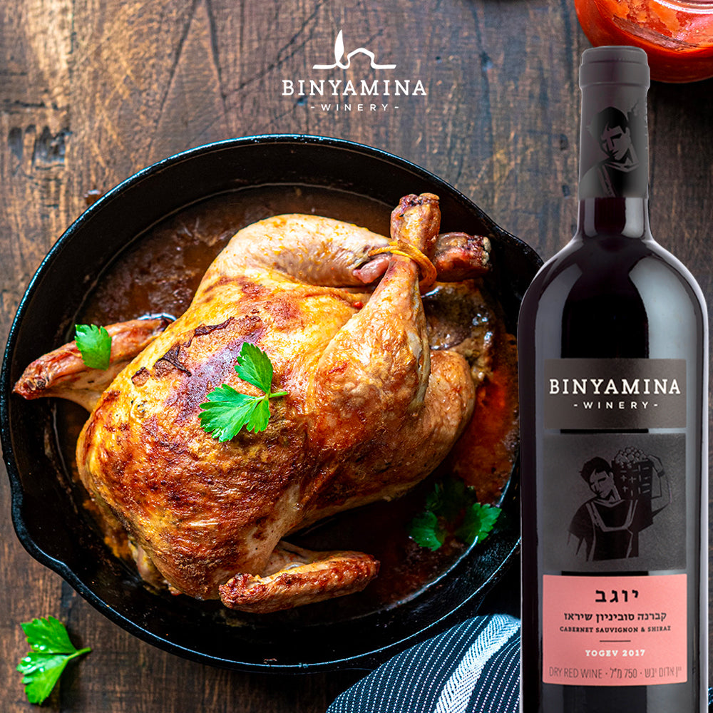 Vino Yogev  Cabernet Sauvignon Shiraz - Centro Internazionale del Barbecue