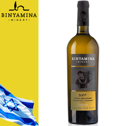 Vino Yogev Sauvignon Blanc e Chardonnay - Centro Internazionale del Barbecue