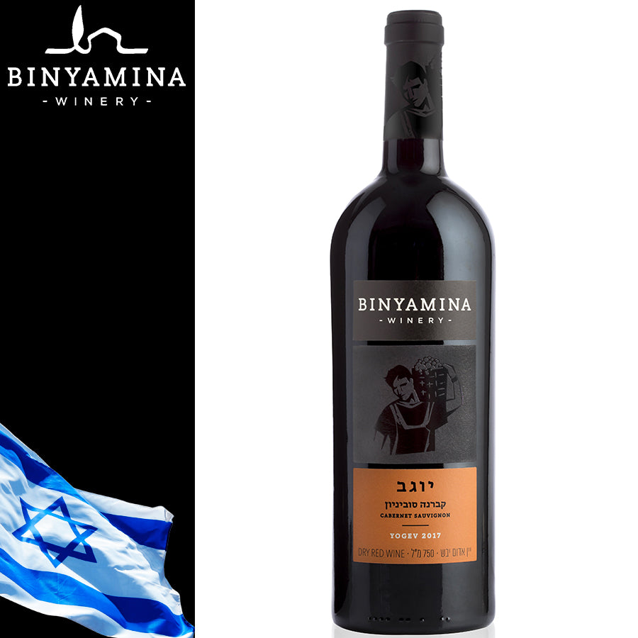 Vino Yogev Cabenet Sauvignon - Centro Internazionale del Barbecue