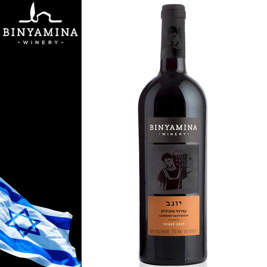 Vino Yogev Cabenet Sauvignon - Centro Internazionale del Barbecue
