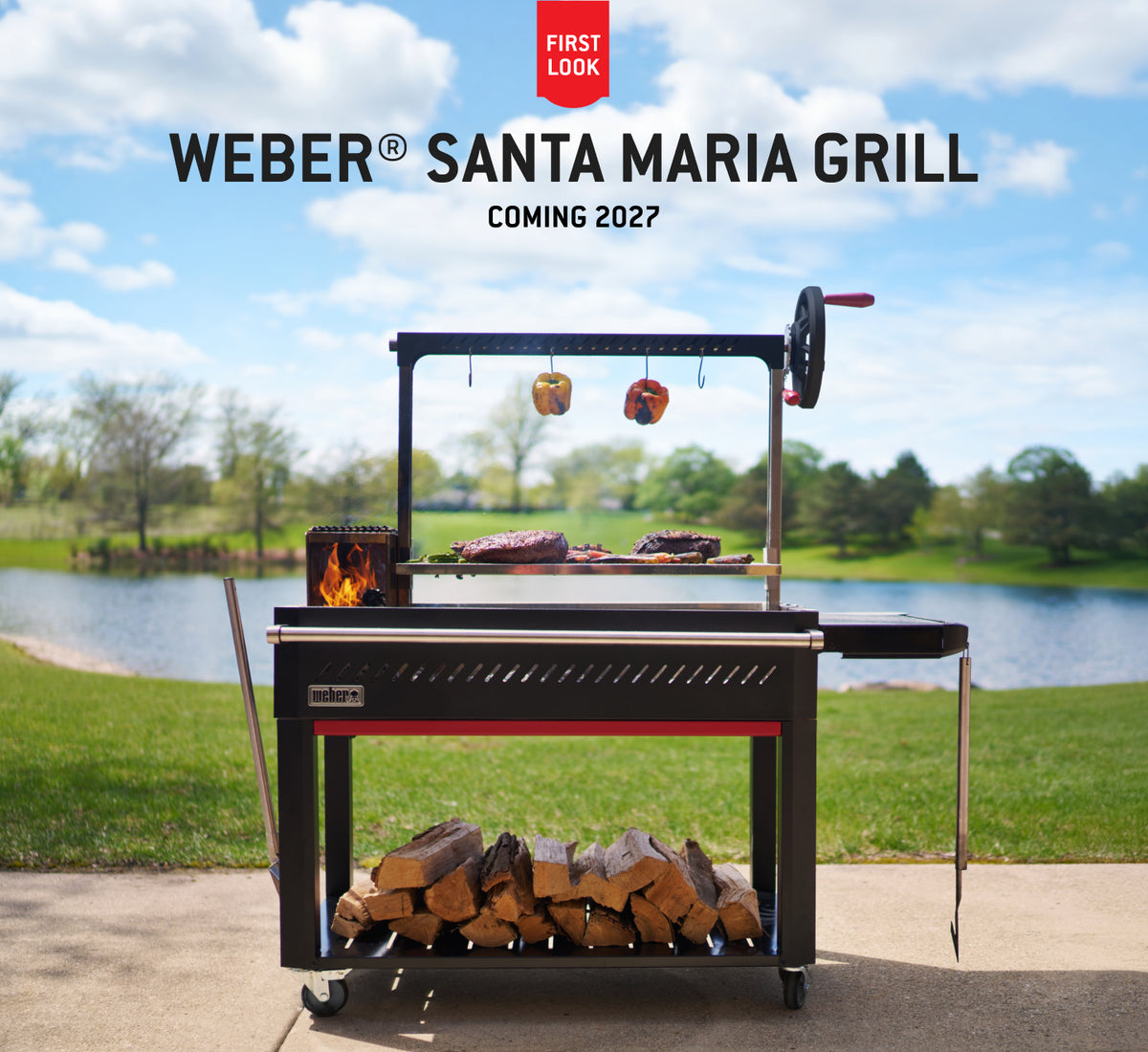 Weber Barbecue a Legna Embrasa